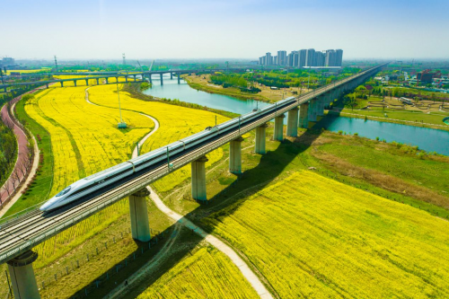2022年4月3日，西成高铁阿房宫至鄠邑区段，一趟动车组列车穿越高铁沿线的西安沣河生态湿地公园油菜花海。（刘翔 摄）