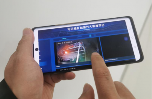 图片2