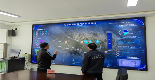 图片3