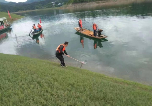 图片20