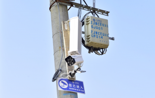 图片3