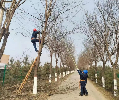 图片3