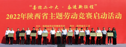 图片11