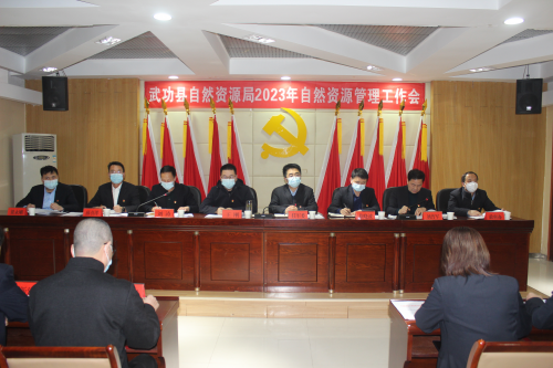 图片13