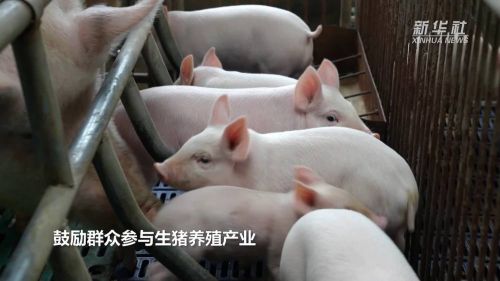 微信图片_20230209102607