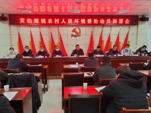 图片4