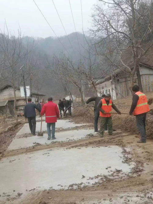 图片5