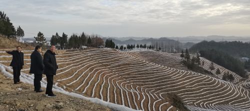 mmexport1676599097414