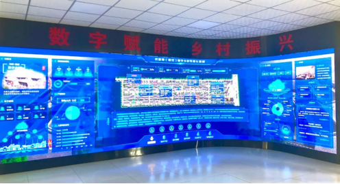 图片5