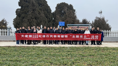 图片8