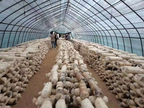 mmexport1676979411825