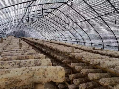 mmexport1676979421189