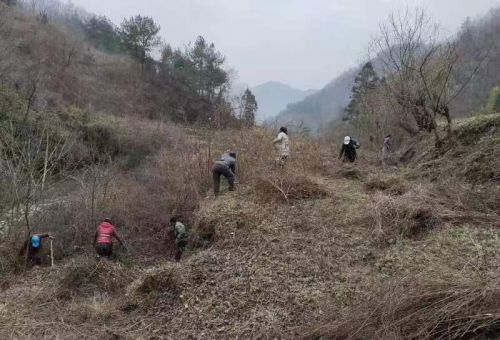 宁陕县龙王镇：盘活闲置土地