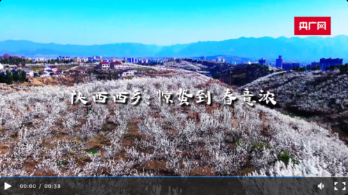 QQ截图20230306104715