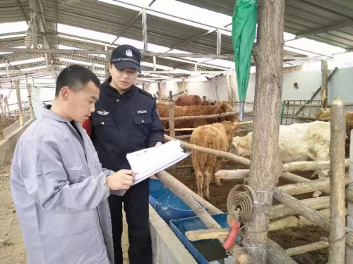 图片5