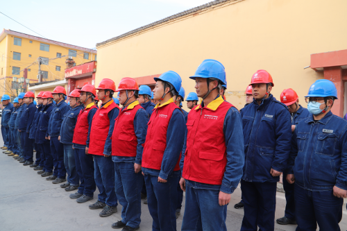 图片12