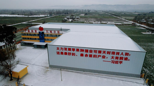 图片5