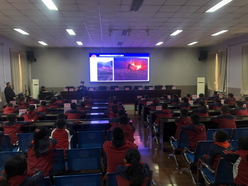 图片9