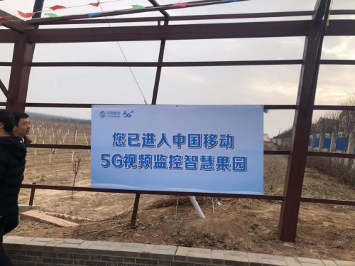 图片48