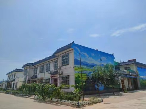 图片64