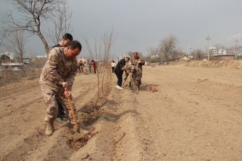 a71ceb2ce1576a199e843b760710dee