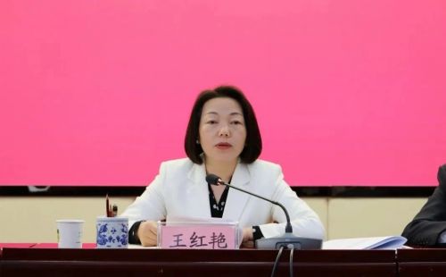 市政府副市长王红艳主持会议