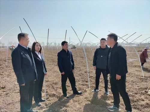 mmexport1678627740345