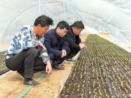 mmexport1678627763194