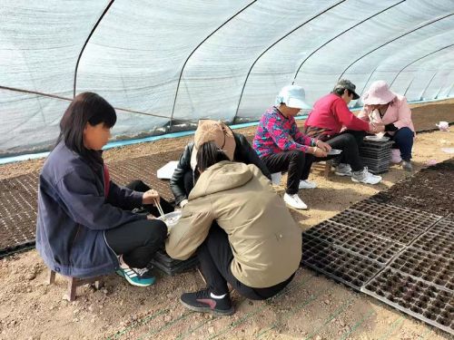 mmexport1678627753026