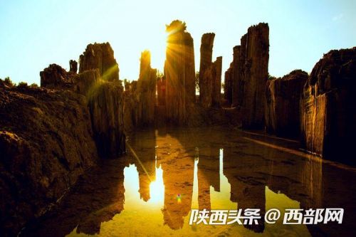 微信图片_20230314141617
