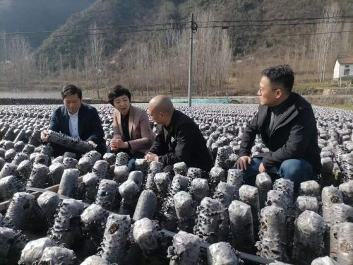 mmexport1678777728224