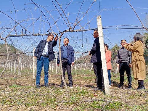 mmexport1678777733809