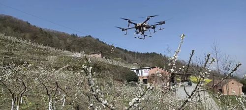 微信图片_20230315140100