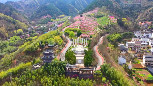 图片2