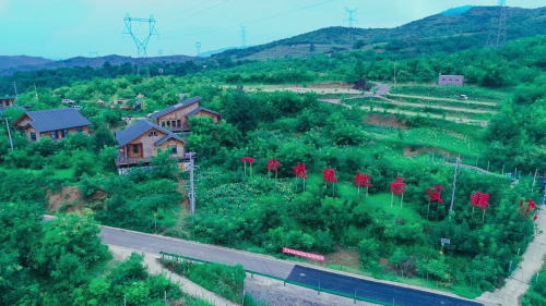 图片1