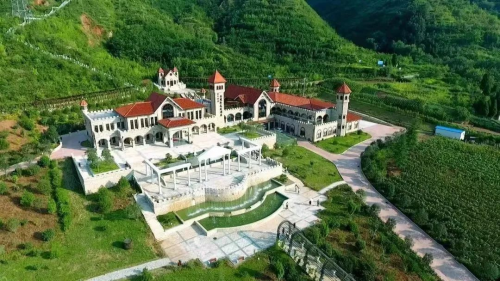 图片6
