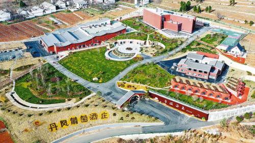 图片4
