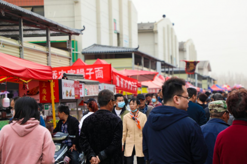 图片13