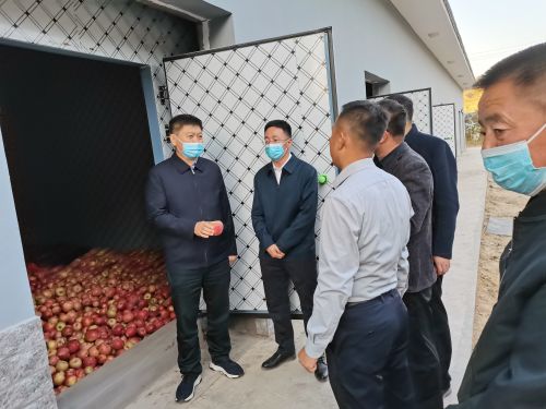 张家坬苹果储藏室