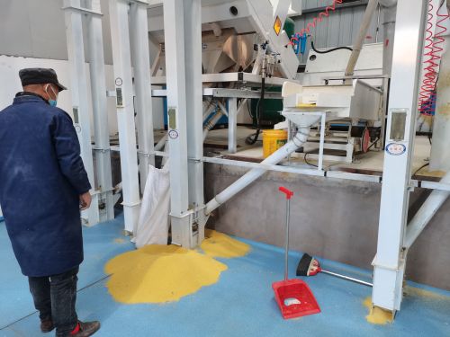 张家坬小米加工厂 (1)