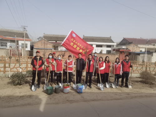 图片6