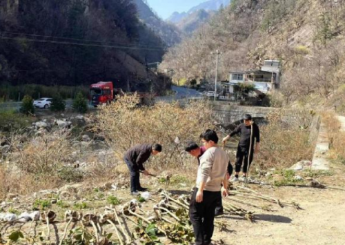 QQ截图20230317144005