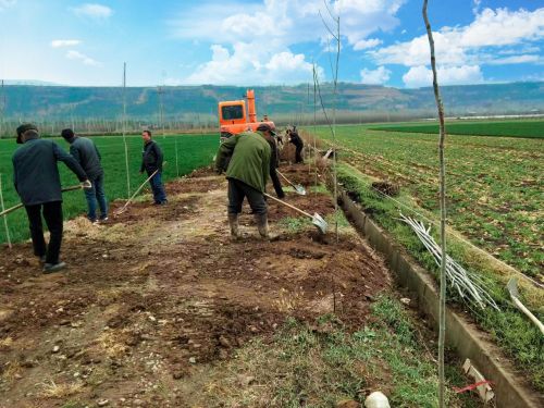 mmexport1679043073846