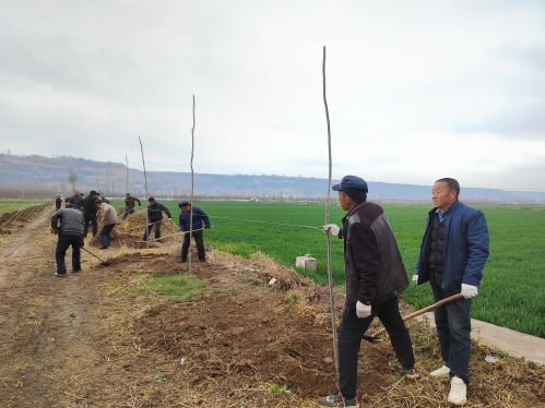 mmexport1679043068891