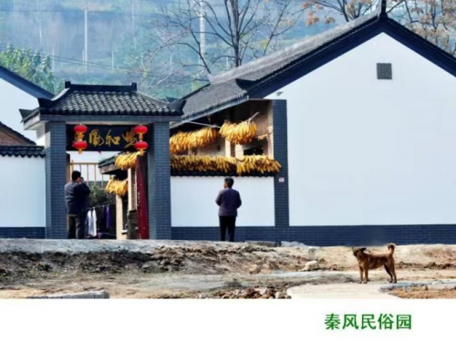 图片7