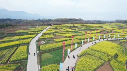 配图3