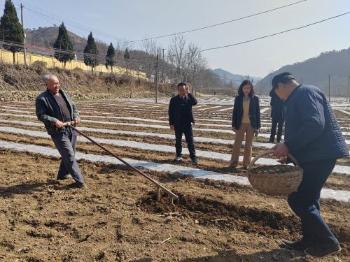 mmexport1679387517936