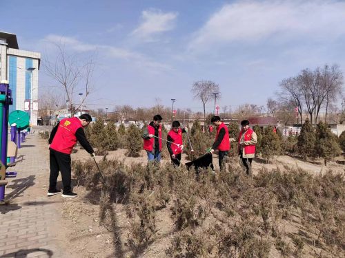 府谷县古城镇：多举措推进人居环境整治见实效