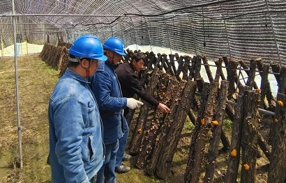 图片20