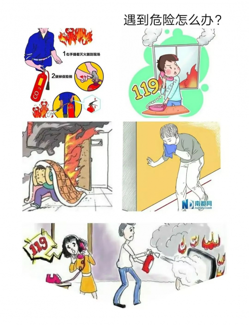 图片21
